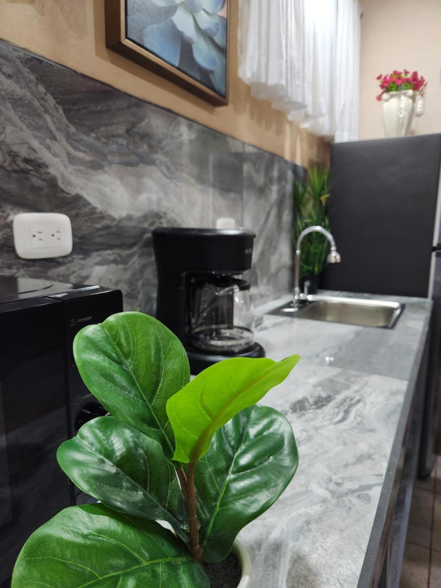 Apartament Arenal Memories. La Fortuna Zewnętrze zdjęcie